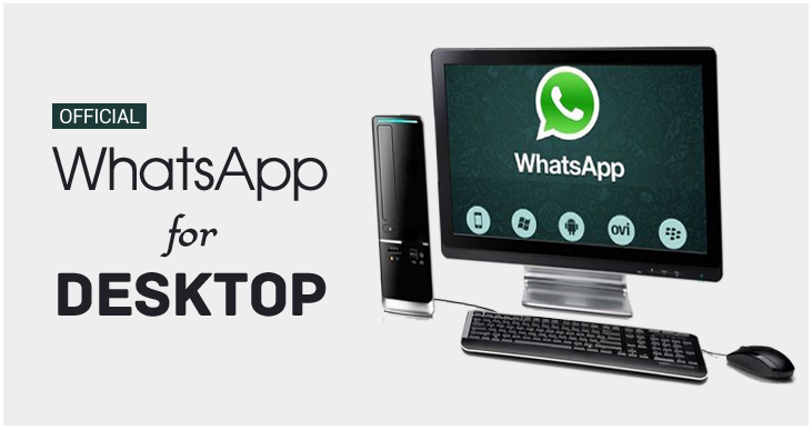 whatsapp desktop windows 10 autocorrect